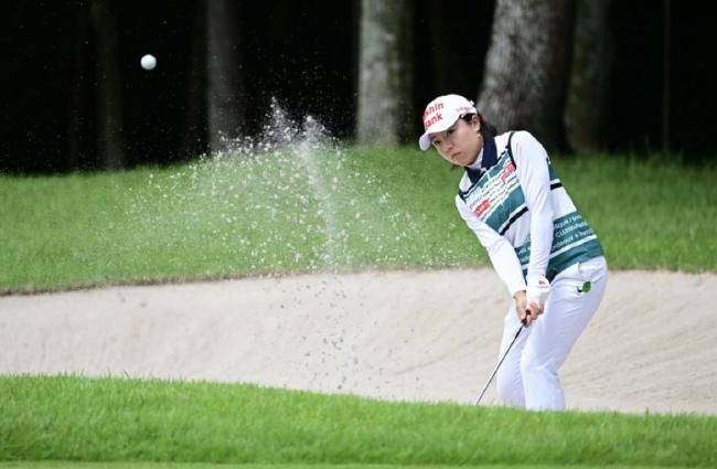 pr九尾狐狸