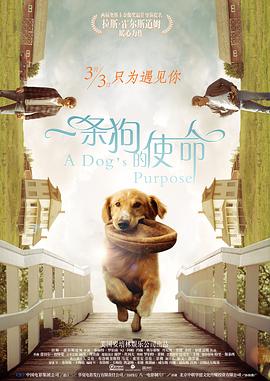 91无打码
