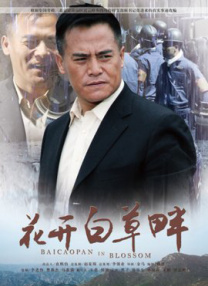 我漂亮的姐姐