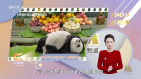 另类中文字幕